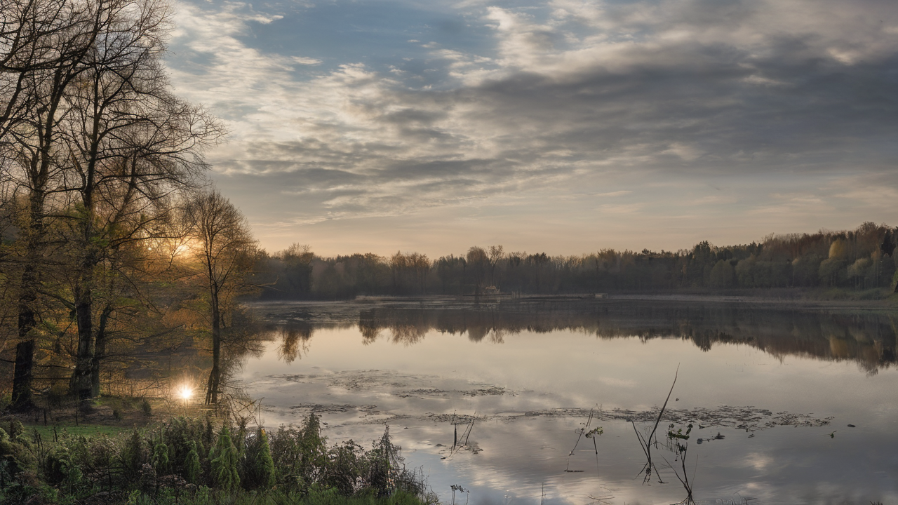 Mroczny las z mgłą, sylwetki postaci z Wiedźmina widoczne w oddali, atmosfera tajemniczości i grozy